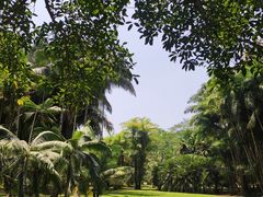 -中国科学院西双版纳热带植物园