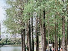 -四海公园(南山区)