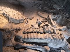 -自贡恐龙博物馆