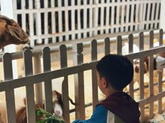 -广州长隆国际大马戏