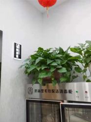 点击看大图 -痘博士广州·全国连锁祛痘机构