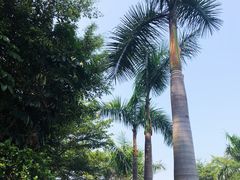 -厦门海底世界