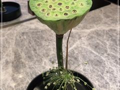 -悦秀·高级粤菜