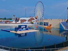 -秦皇岛乐岛海洋王国