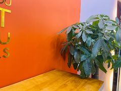 -光明新鲜屋·鲜乳茶(乾坤店)