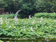 -成都市文化公园