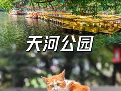 -天河公园(天园街道)
