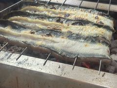 -玄白·炭烤活鳗(上海首店)