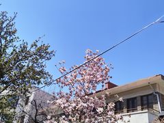 -民园广场