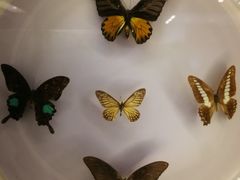 -下渚湖国家湿地公园科普馆