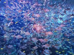 -成都浩海立方海洋公园