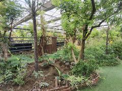 -呀路古热带植物园
