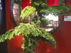 -和府捞面(天美杉杉奥特莱斯店)