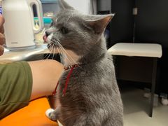 -博特宠物医院24h犬猫全科.骨科·异宠