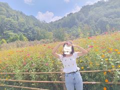 -贵阳市花溪国家城市湿地公园