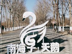 -南海子公园