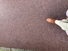 -白鹭湾湿地公园