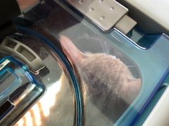 -福州肆爪动物医院