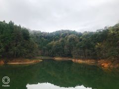 -千岛湖龙川湾