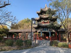 -迎泽公园