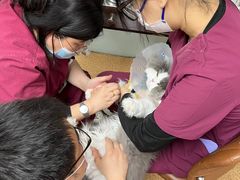 -宠颐生中康贝怡动物医院