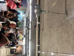 -朱氏胖子烂火锅(洪崖洞店)