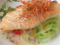 -蝶舍·MAISON PAPILLON