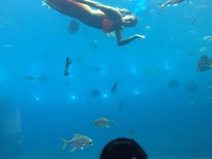-瑞德姆美人鱼海底演艺主题餐厅(亚龙湾店)