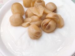 -澳洲牛奶公司(佐敦店)
