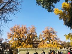 -北京石刻艺术博物馆(五塔寺)