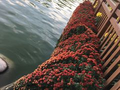 -莲湖公园