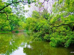 -西溪国家湿地公园