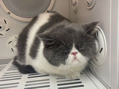 -FAELING PETS美天灵宠物(富力广场店)