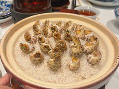 -侨美食家·40年地道粤菜(珠江新城店)