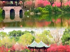 -棠湖公园