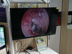 -自然之声助听器·呼吸机(和平店)