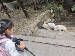 -北京凤凰岭