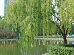 -上海交通大学医学院附属瑞金医院(总院)