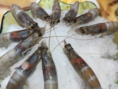 -清真军邺·金富苑肥牛(石坡街旗舰店)