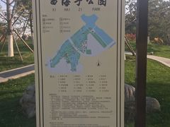 -西海子公园