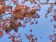 -广州市帽峰山景区