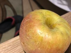 -兴芮温泉度假区