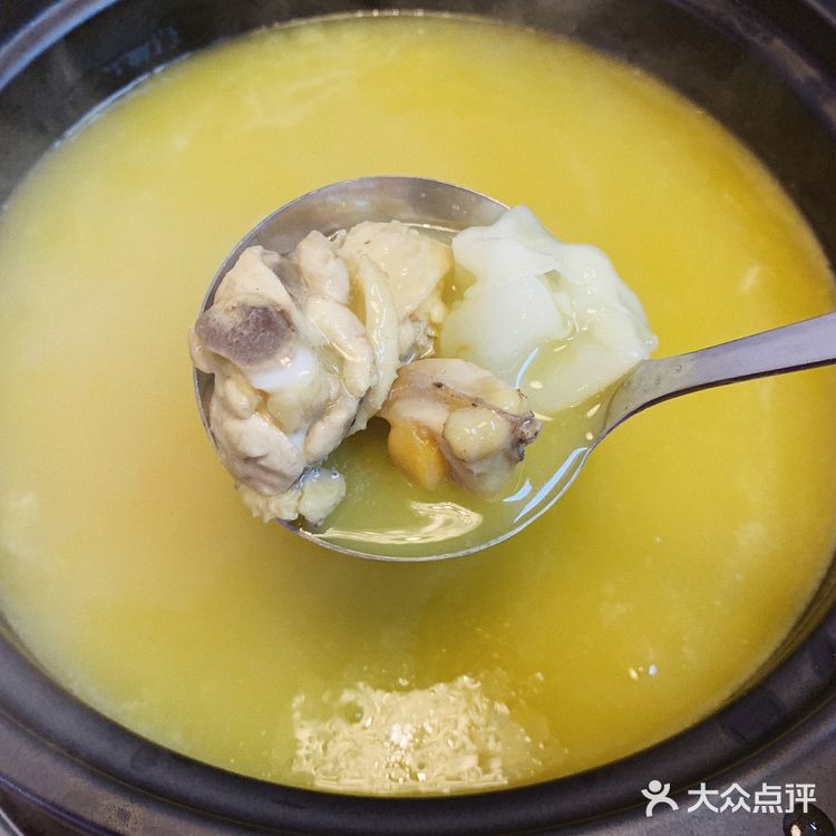 爱吃花胶鸡火锅的都跑来这里了