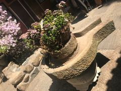 -寂照庵
