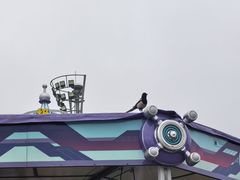 -星海广场