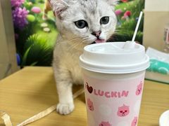 -美联众合动物医院·24h转诊中心