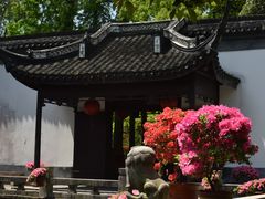 -上海醉白池公园
