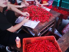 -拈一筷子·宜宾江湖菜(十一街店)