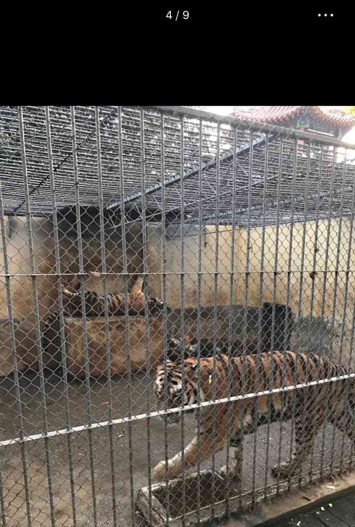 doctype html> html lang="zh-cn"> head> meta