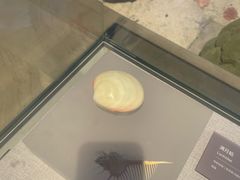 -中国（海南）南海博物馆